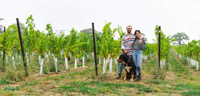 Couple with dog in vineyards at Kinsbrook Estate