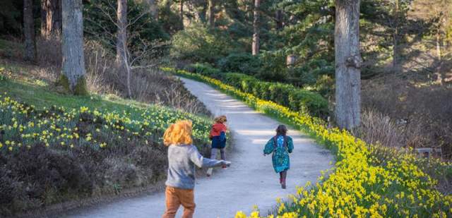 Leonardslee Gardens in Springtime