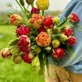 Legacy Blooms