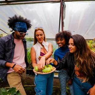 Visitors learn about local ingredients during an experience at Hacienda Mamecillo in Boquete, Chiriquí Province, Panama.
