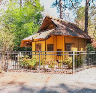 Fashionably Late: Celebrating Asian and Pacific Islander Month Beyond May!