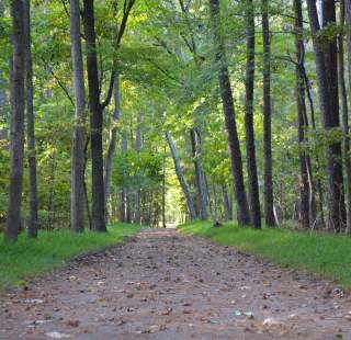 11 Things You Need to Know About Newport News Park
