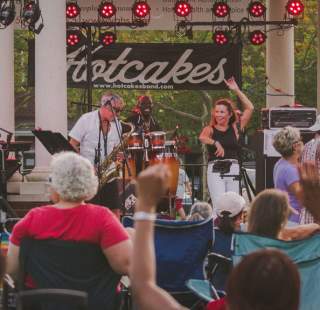 A crowd cheers during a concert