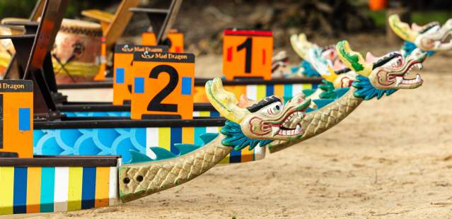 Dragon boats on shore of lake