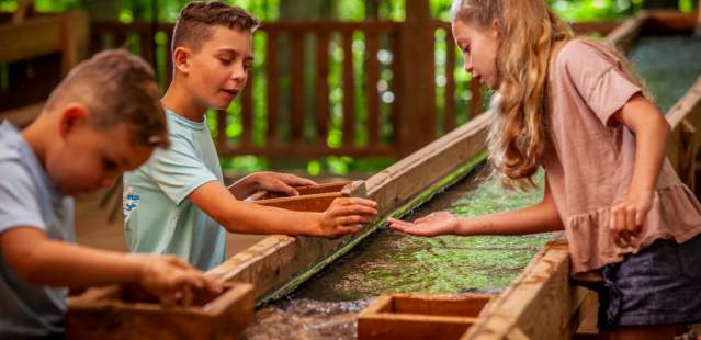 Gem mining at Dan Nicholas Park