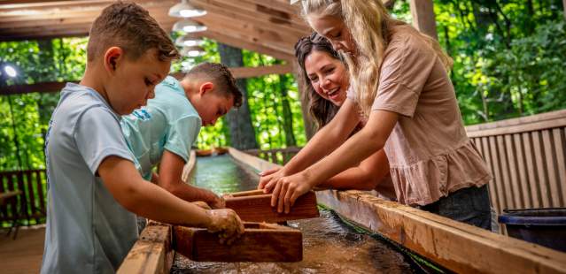 Gem Mining at Dan Nicholas