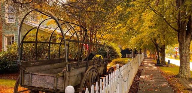 Wagon in Historic Gold Hill