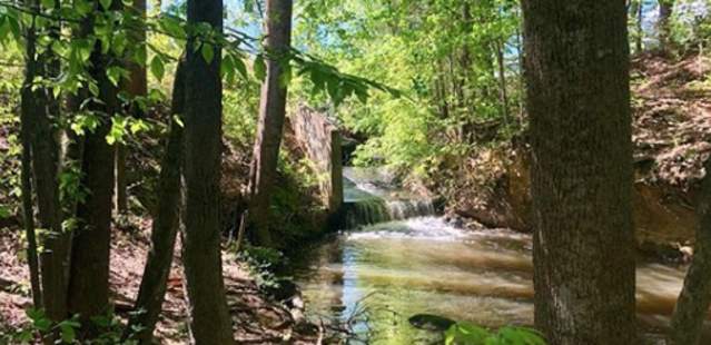 Creek at Lake Corriher Wilderness Park