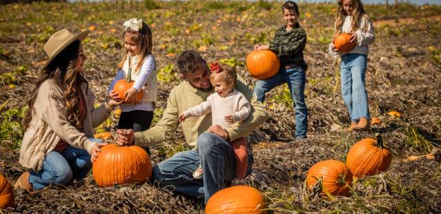 Family choosing pumpkins in pumpkin patch