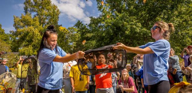 Butterfly release