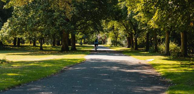 Ormeau Park