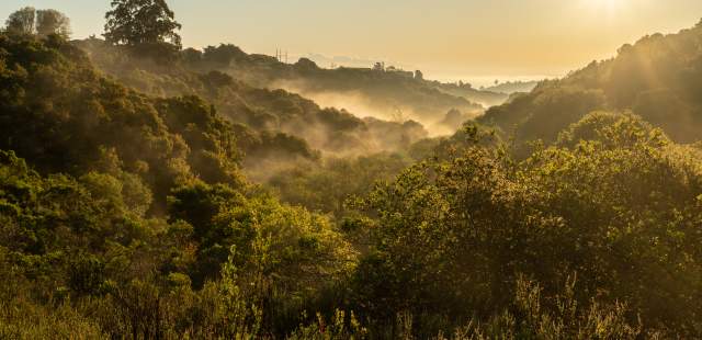 Belmont Hills