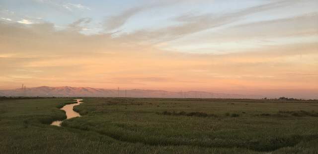 East Palo Alto