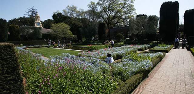 Filoli Gardens and Path