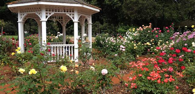 Gazebo in San Mateo Central Park