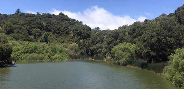 Waterdog Lake in Belmont California