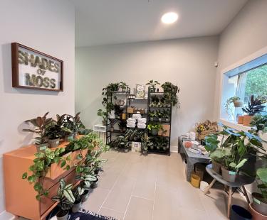 Interior Shot