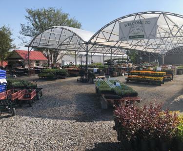 Glen Allen Greenhouse