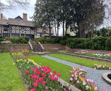 Spring Tulips at Agecroft Hall