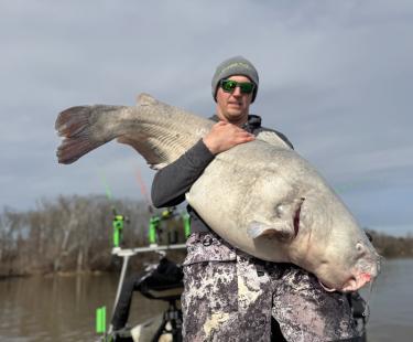 Blue Catfish 80 lbs