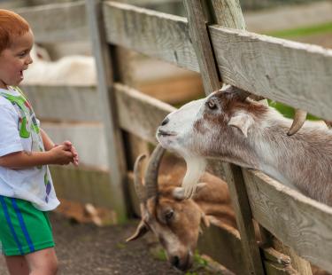 Maymont Farm