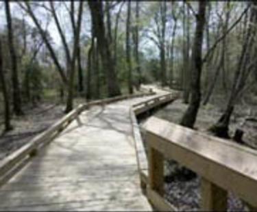 Appomattox River Canoe Launch walkway