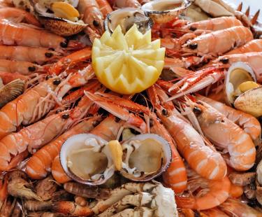 seafood