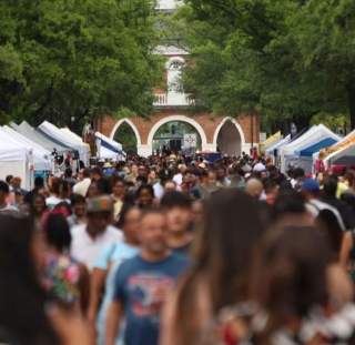Dogwood Festival