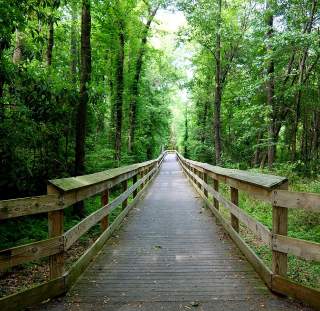 Cape Fear River Trail