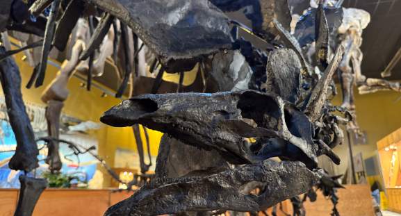 Dinosaur Center
