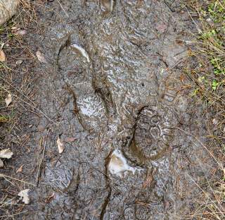 Tread Lightly & Leave No Trace: Essential Spring Hiking Etiquette