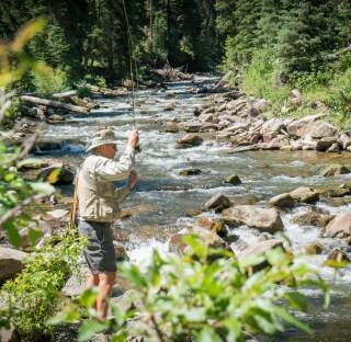 Man fly fishing in the Gallatin