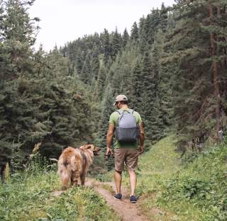 Dog Friendly Hikes in Big Sky