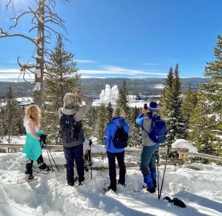 Top Reasons To Visit Yellowstone National Park In Winter