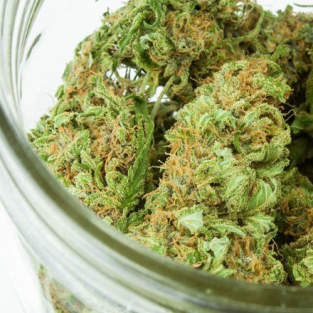 Jar of cannabis