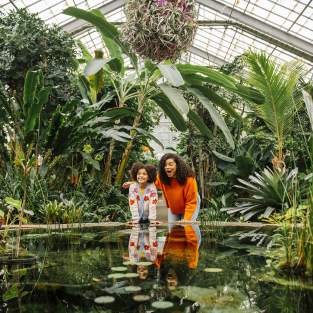 U-M Matthaei Botanical Gardens