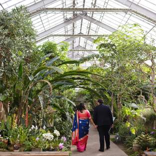 U-M Matthaei Botanical Gardens