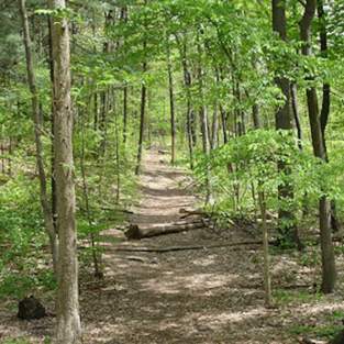 Bird Hills Nature Area