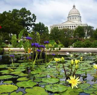 Capitol Dome, Carnahan Memorial Gardens