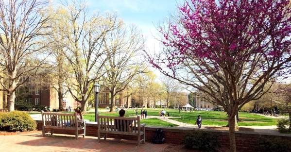 UNC Campus Spring time