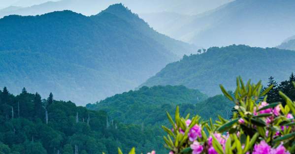 Blue Ridge Parkway near Waterrock Knob