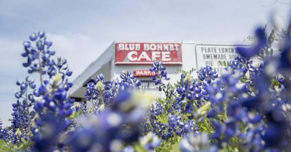 Blue Bonnet Cafe and flowers