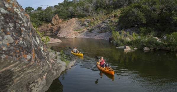 Spring, Spring is Coming