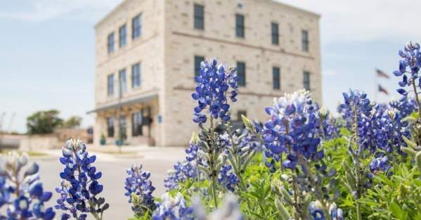 Marble Falls Visitor Center Bluebonnets