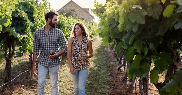 couple walking through vineyard