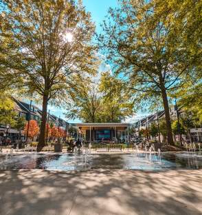 Your Guide to Birkdale Village