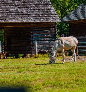 Spend A Day Exploring Huntersville