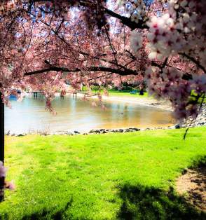 Spring