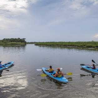 People in 3 kayaks in the Delta