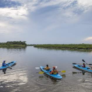 People in three kayaks in the Mobile delta